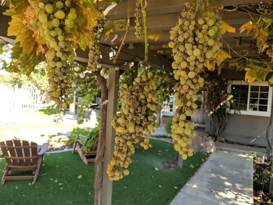 The Vineyard Farmhouse Villa Paso Robles Exterior photo