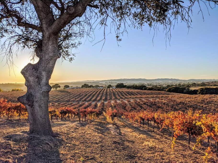 The Vineyard Farmhouse Villa Paso Robles Exterior photo