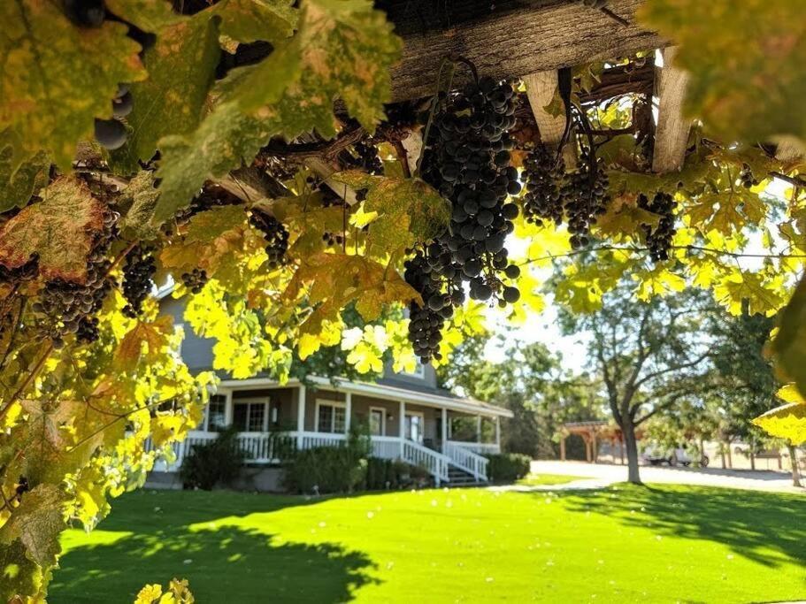 The Vineyard Farmhouse Villa Paso Robles Exterior photo